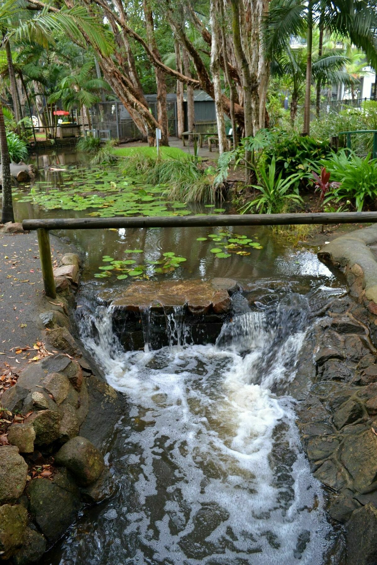 Flynns Beach Resort Port Macquarie Exterior photo